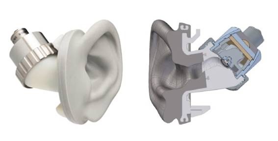 models of human ear