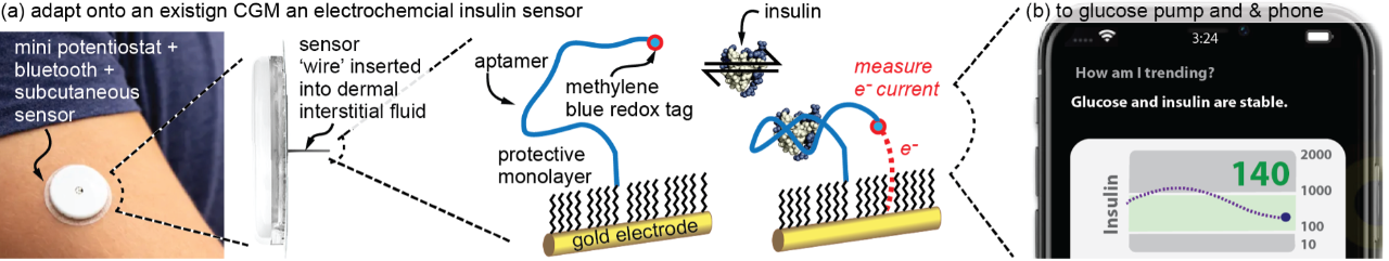 diagram image of health detector and illustration of how it works