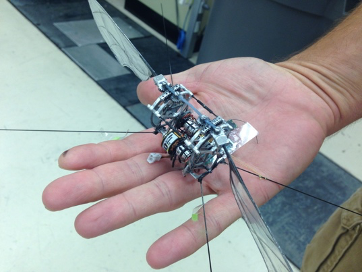 Person's hand holding a mechanism