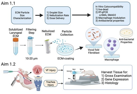 Diagram of particles