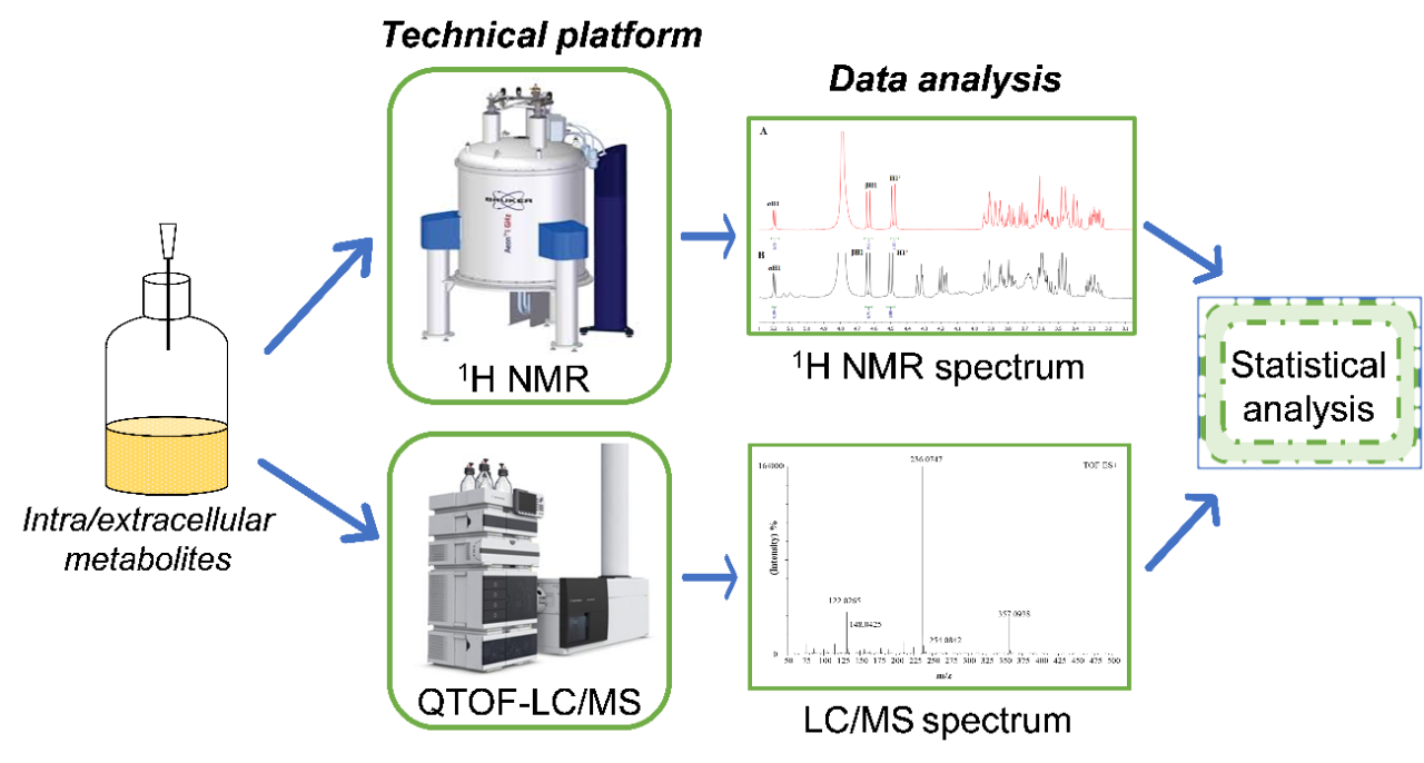diagram of metabolites