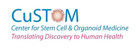 Custom (Center for stem Cell & Organoid Medicine) logo