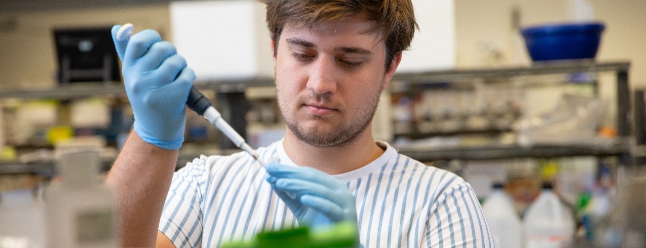 UPRISE Chemistry and Biology student Chase Dietz works in Professor In-kwon Kim’s lab.