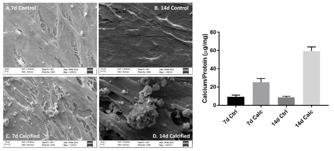Four images of inorganic phosphate and a bar graph next to it. 