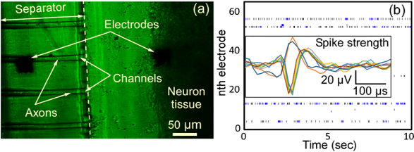 Diagram of microfluidic chips