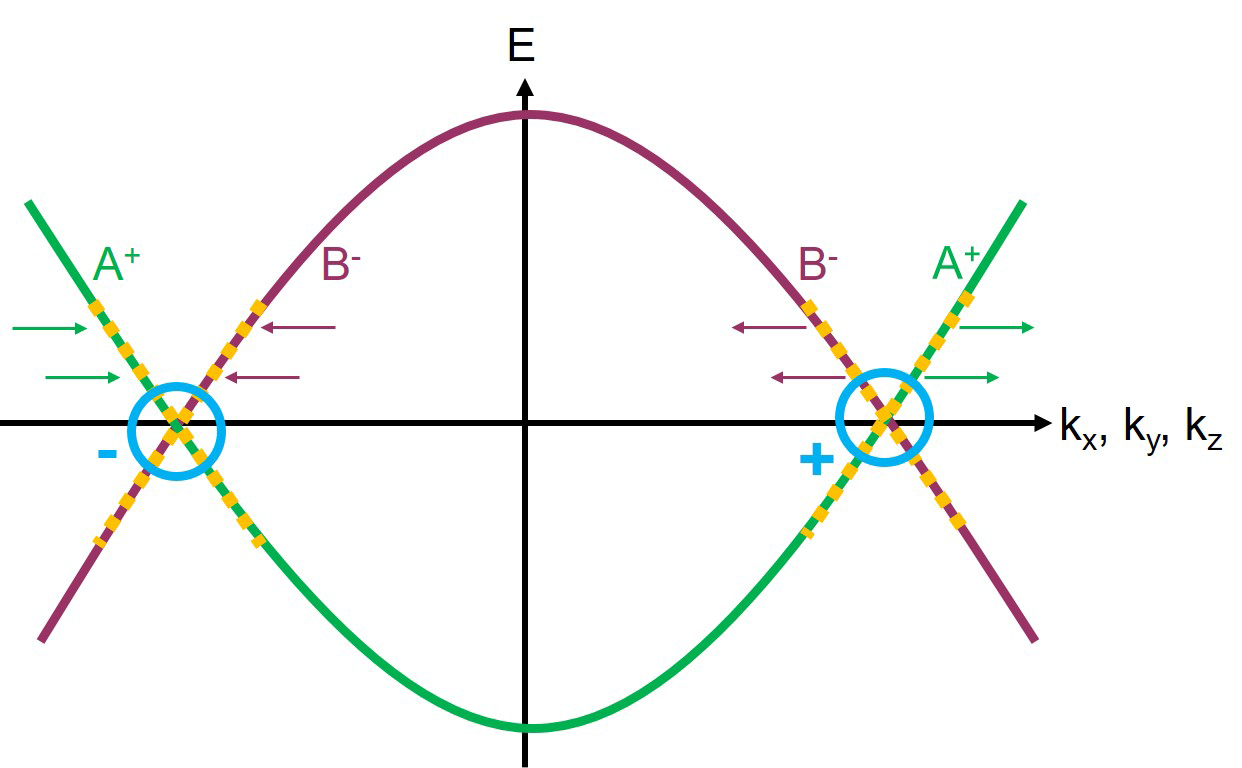 Band structure of a Weyl semimetal (energy vs. momentum vectors).  Conduction and valence bands have crossed.  Bands are linear near the crossing points, which are called Weyl points.  These Weyl points serve as sources or sinks of Berry curvature as induced by the directionality of the wave functions of the corresponding bands.