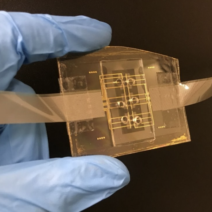 Micro-fabricated Device ​