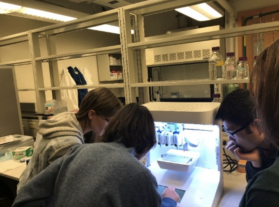 Students in lab working on research project 