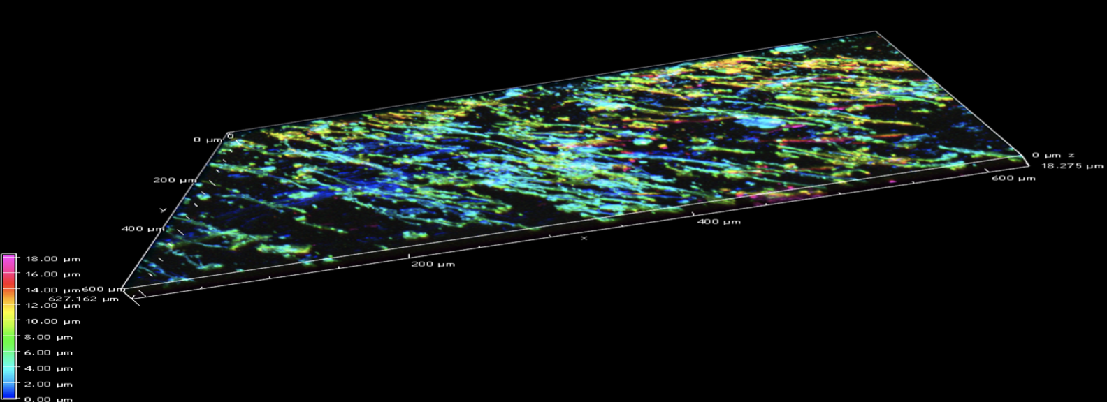 Diagram of tissue regeneration