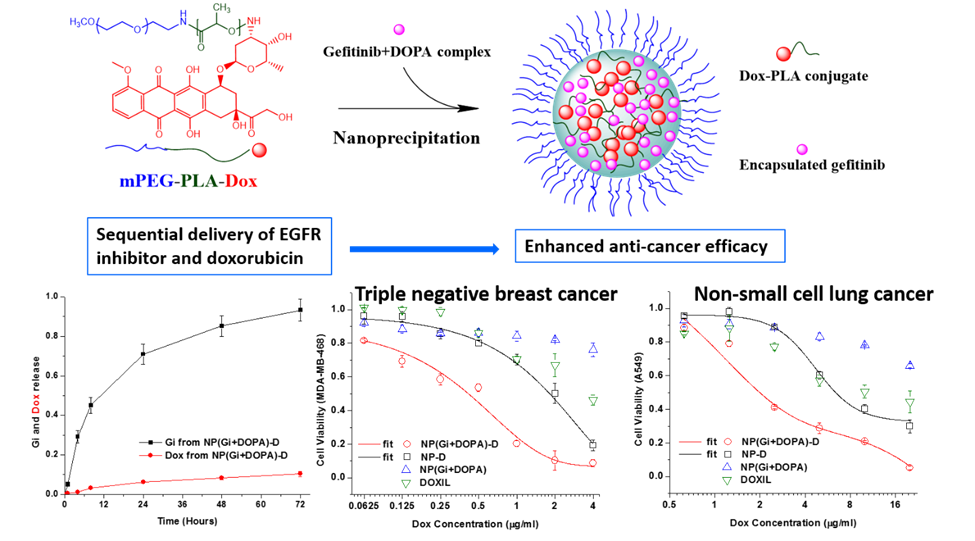 Polymeric nanoparticle for targeted sequential delivery of synergistic drugs