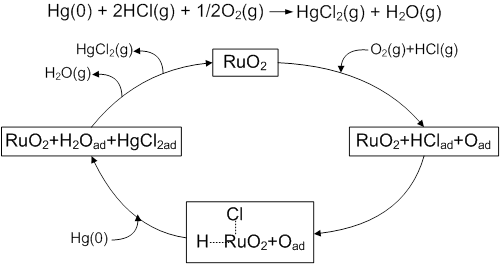 Hg(0) oxidation over RuO2 catalyst