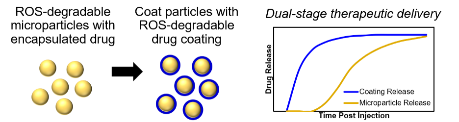 Diagram of drug encapsulation