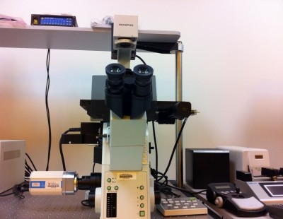 Olympus  IX81-ZDC2 Focus Drift Compensating Inverted Microscope