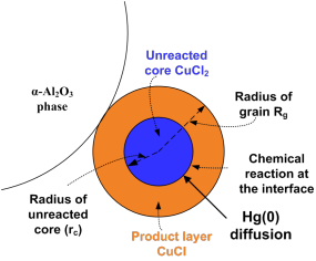 Grain model for reaction of Hg(0) with CuCl2