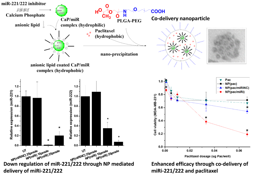 Anionic lipid coated CaP/miR complex (hydrophobic), Down regulation of miR-221/22 through NP mediated delivery of miRi-221/22, Enhanced efficacy through co-delivery of miRi-221/222 and paclitaxel