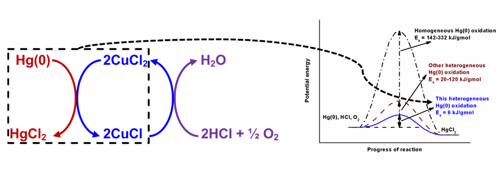 Hg(0) oxidation over CuCl2