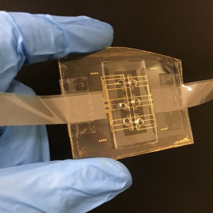 Micro-fabricated Device 